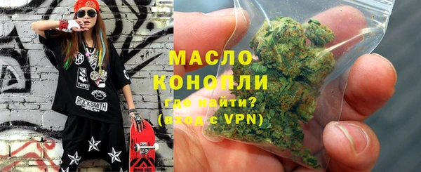дмт Богданович