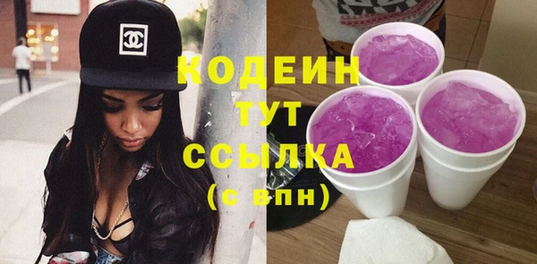 дмт Богданович