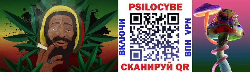 shop клад  наркота  Буй  Псилоцибиновые грибы GOLDEN TEACHER 